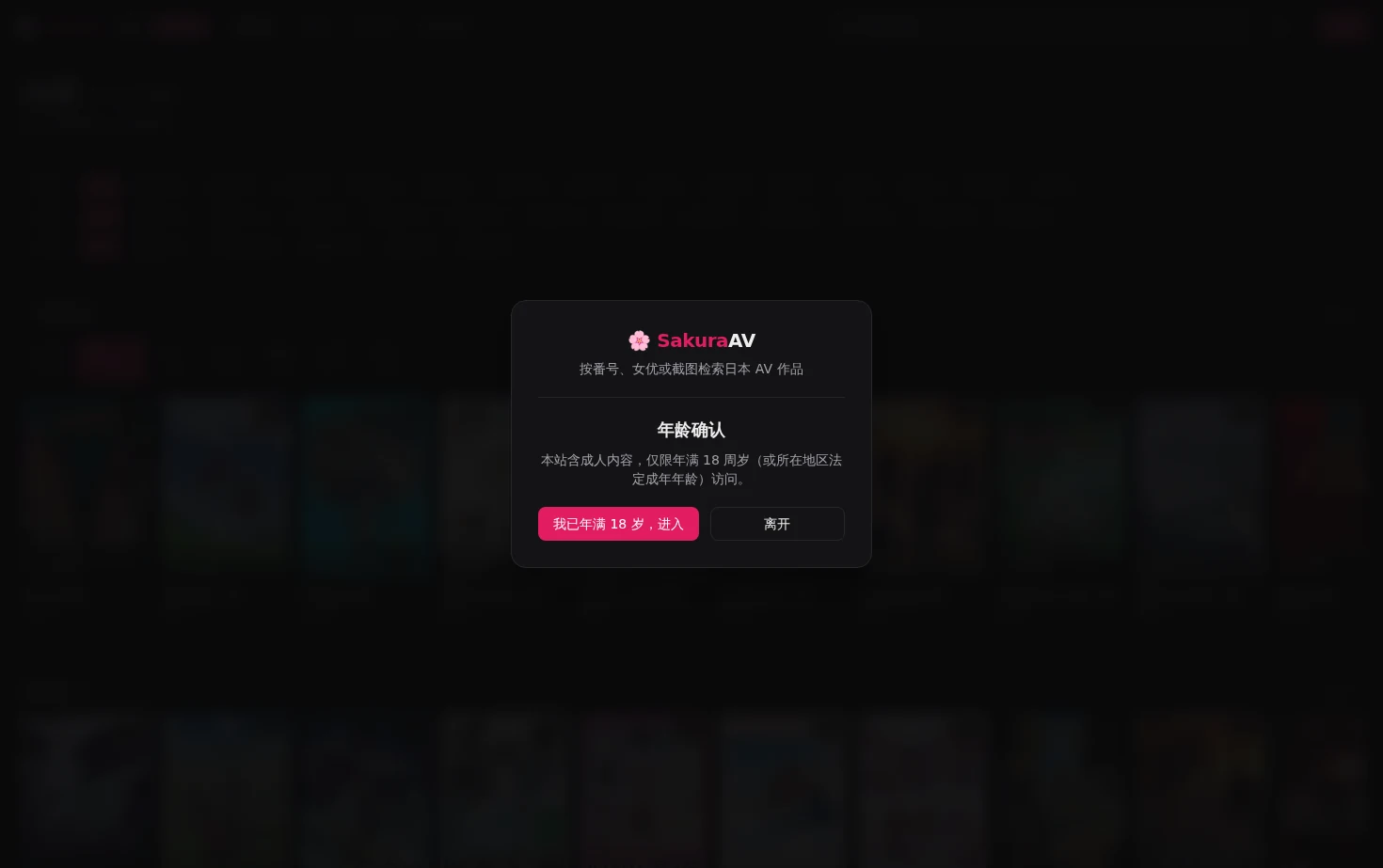 VNS 页面快照